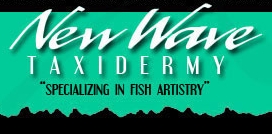 new wave taxidermy
